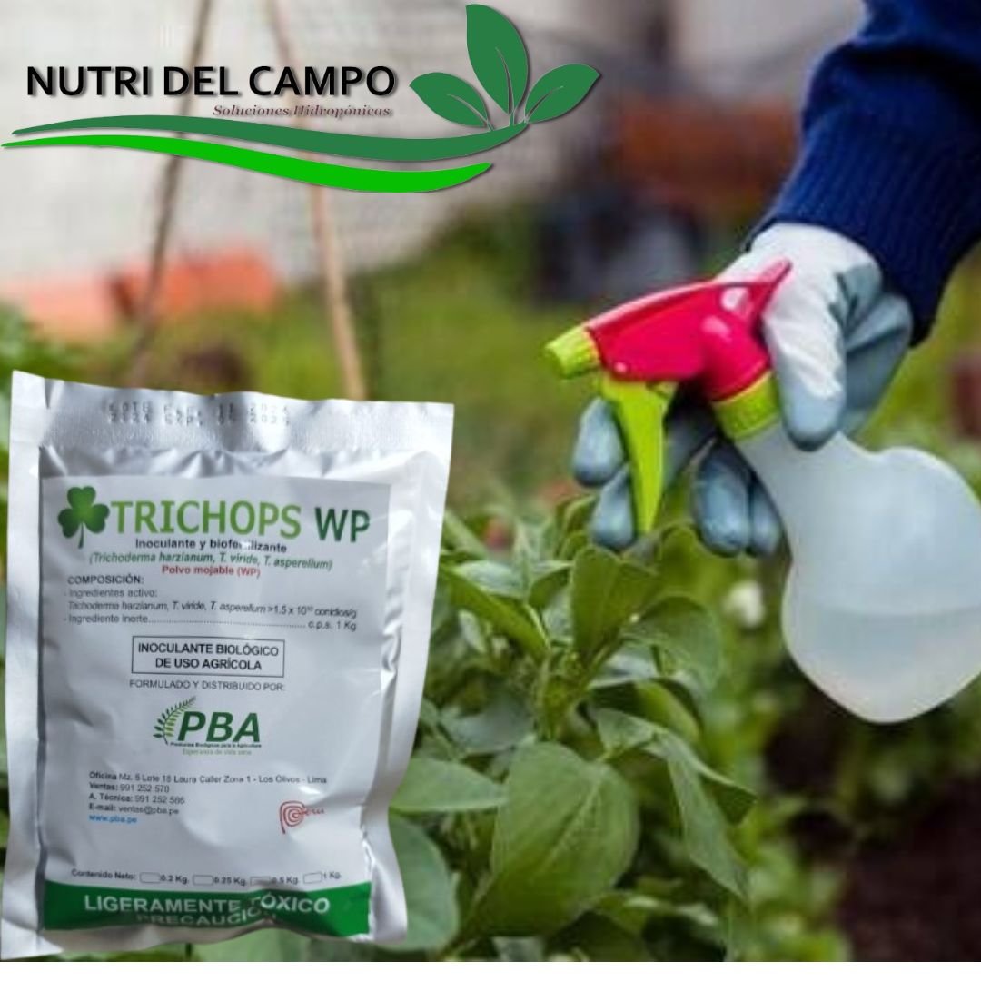 TRICHOPS WP (Trichoderma Asperellum, Trichoderma Harzianum, Trichoderma Viride), Trichoderma harzianum, Trichoderma Viride, Trichoderma asperellum ayudan a el control biolgico de algunas enfermedades fngicas (Rosellinia sp,�Moniliasis,�Phytophthora sp.,�Lasiodiplodia theobromae,�Fusarium oxysporum,�Rhizoctonia solani,�Alternaria sp,�Sclerotinia sclerotiorum.�Cladosporium).