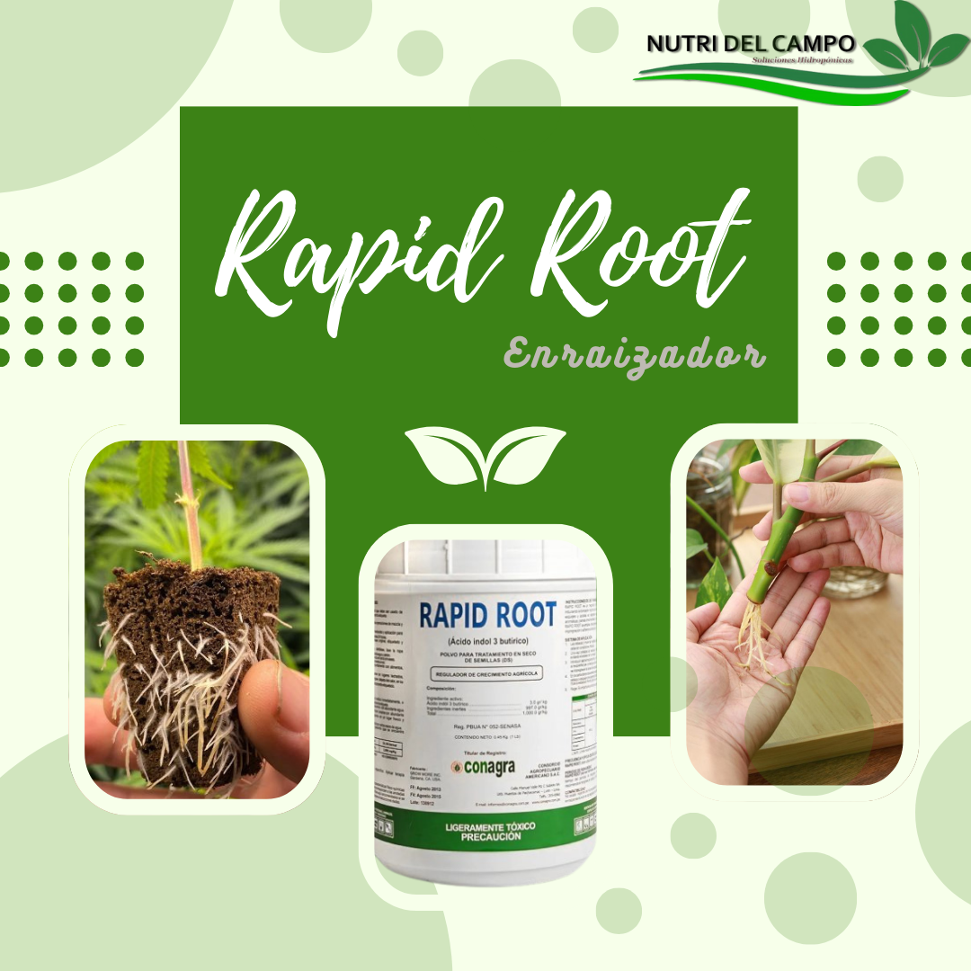 RAPID ROOT, Rapid Root egulador de crecimiento hormonal que acta induciendo la formacin r�pida de races y pelos absorbentes en estacas esquejes y acodos.