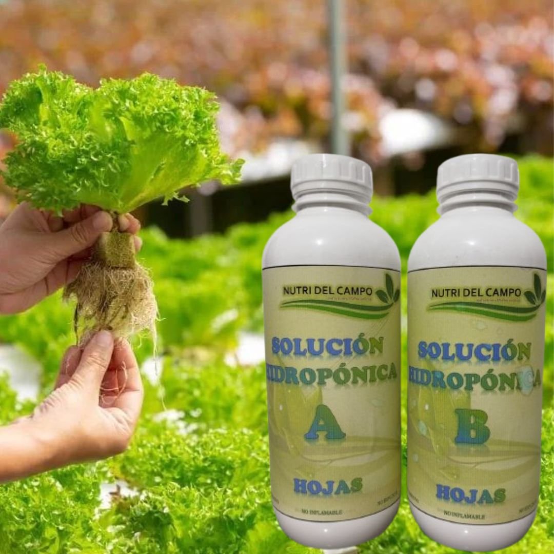 SOLUCIN HIDROPONICA LIQUIDA (HOJAS) , SOLUCIN HIDROPONICA LIQUIDA PARA HOJAS, Solucin Hidropnica para Hojas, presentacin liquida para 200 litros, la solucin incluye A y B.
