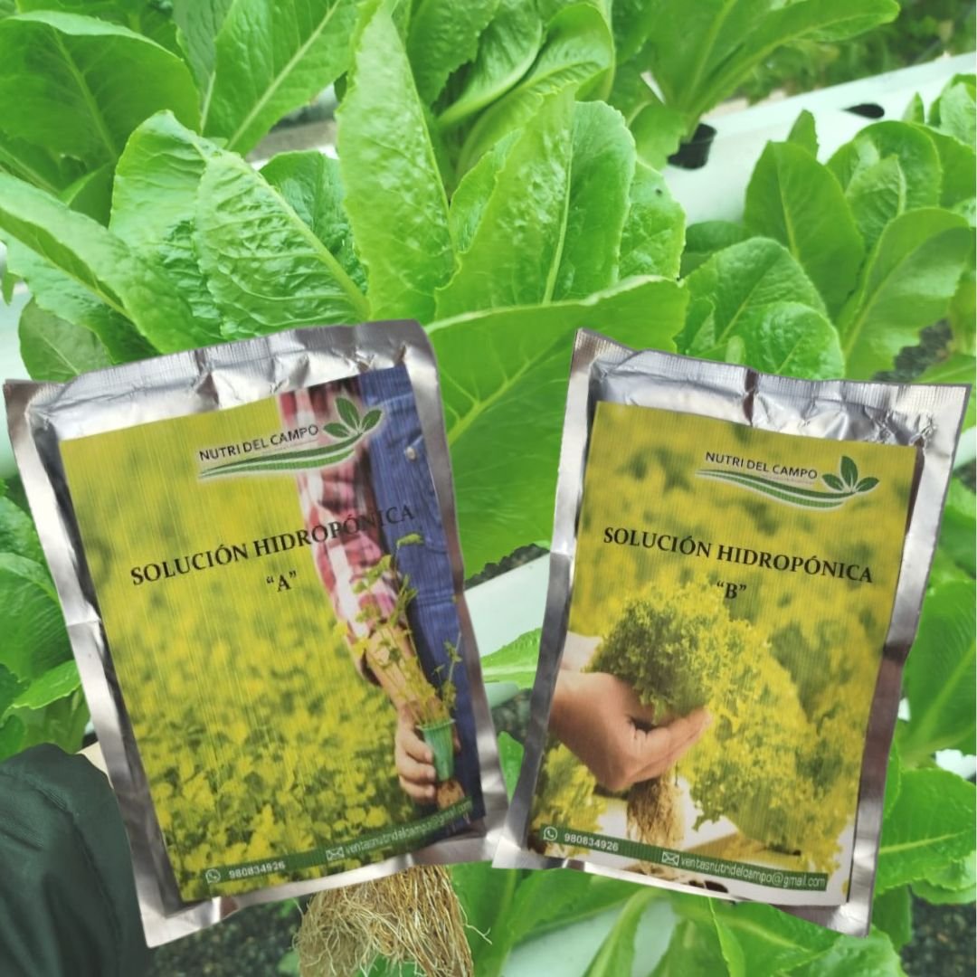 SOLUCION HIDROPONICA (HOJAS), Solucion Hidroponica para Hortalizas ( espinacas, albahaca, acelga, apio, cebolla china, lechugas, entre otras. Se aplica tambin en germinados. Solucin en estado solido A y B para 1000 litros de agua. 