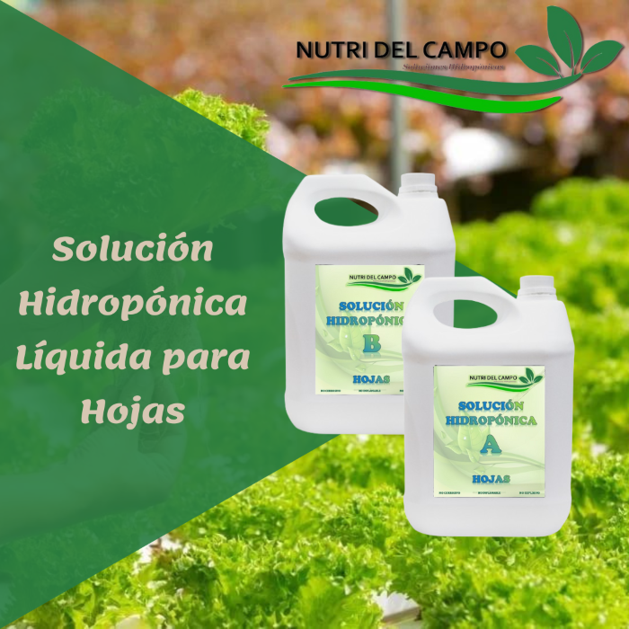 SOLUCION HIDROPONICA LIQUIDA (HOJAS) 