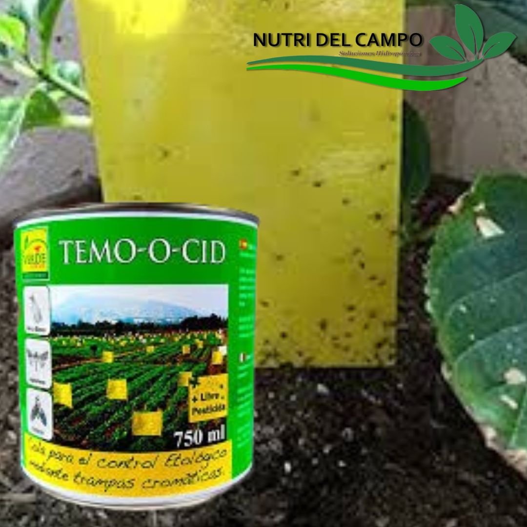 COLA ENTOMOLÓGICA TEMO-O-CID x 750 ML