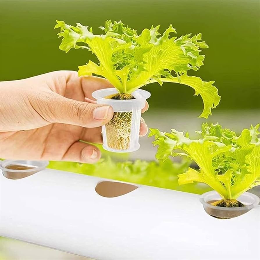 Cuidamos tus cultivos con lo mejor de la tecnologa, Fertilizantes, agroqumicos, productos org�nicos y productos hidropnicos para el xito de tus cultivos.